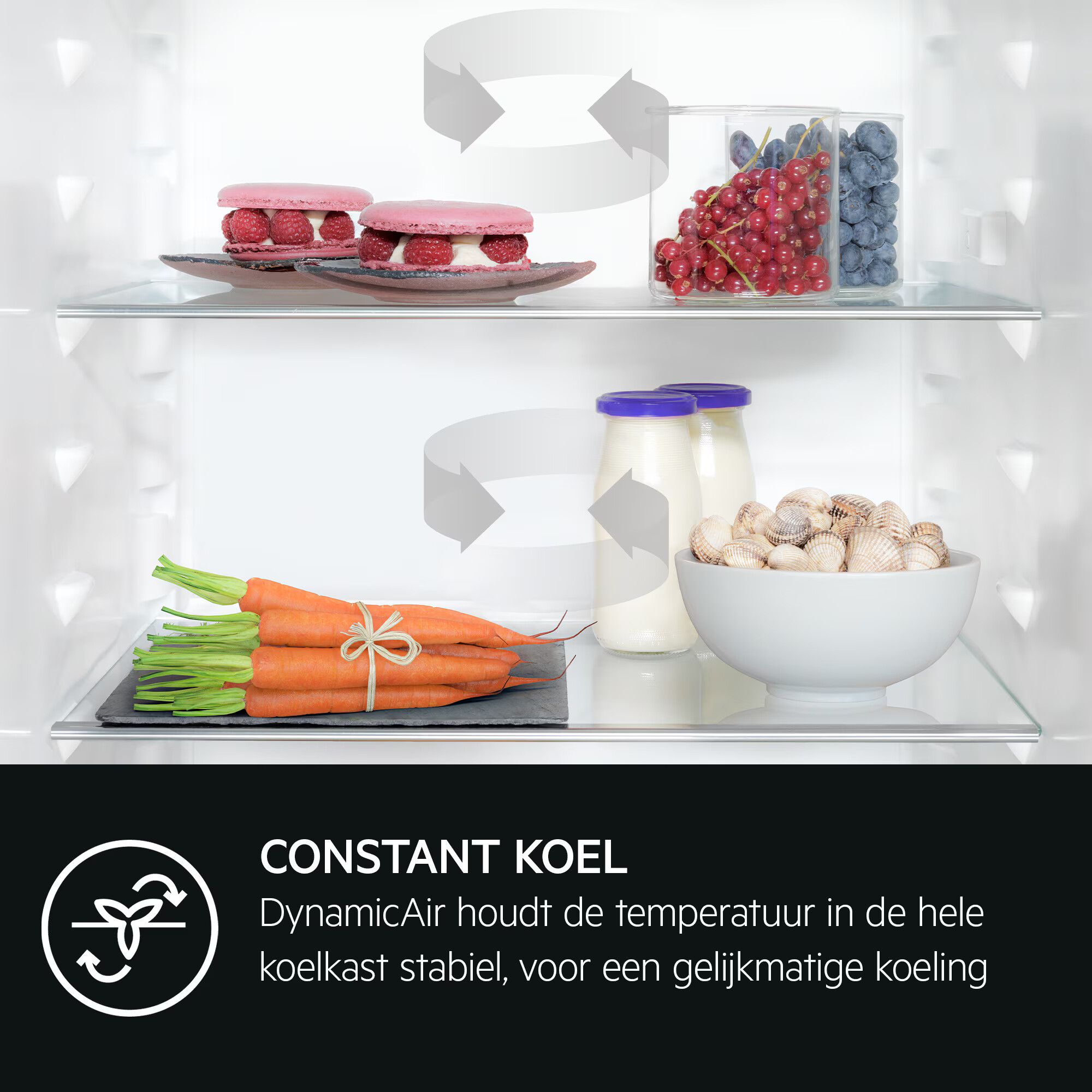 AEG NSC8T751DS inbouw koelkast afbeelding 5
