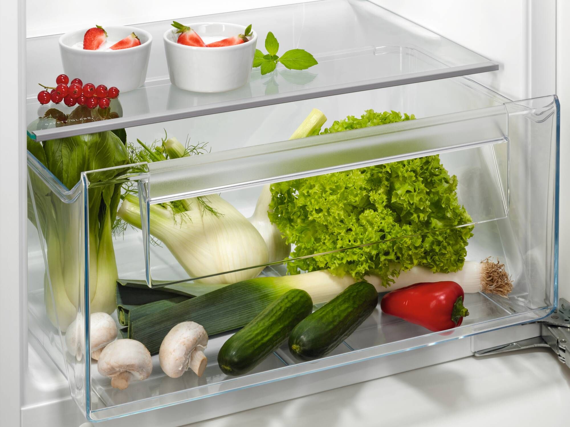 AEG koelkast NSF5O122DC afbeelding 3