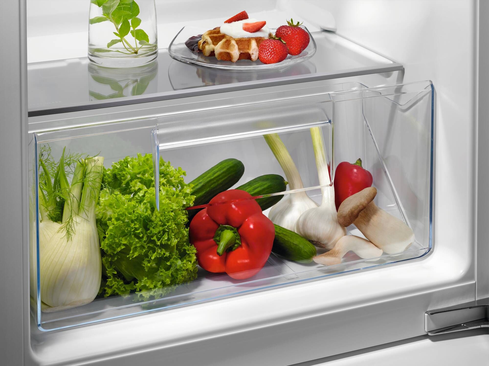 AEG koelkast NSF5O881DF afbeelding 3