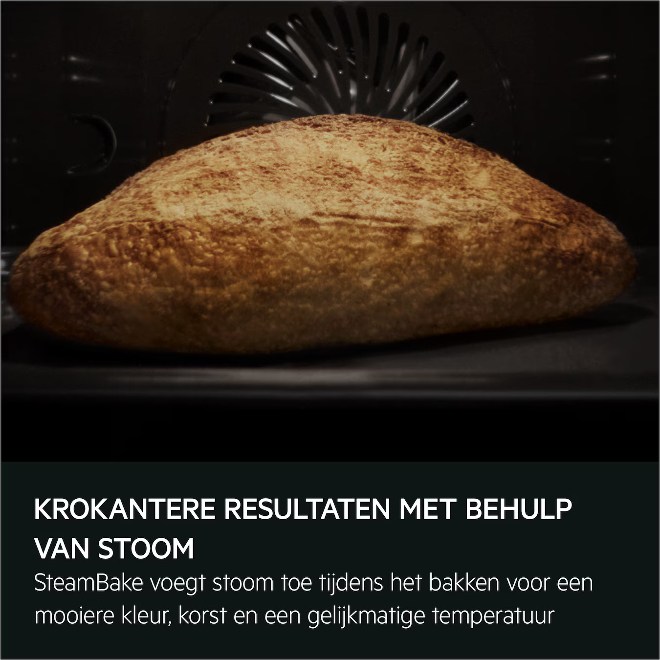 OA5PK40WB afbeelding 8