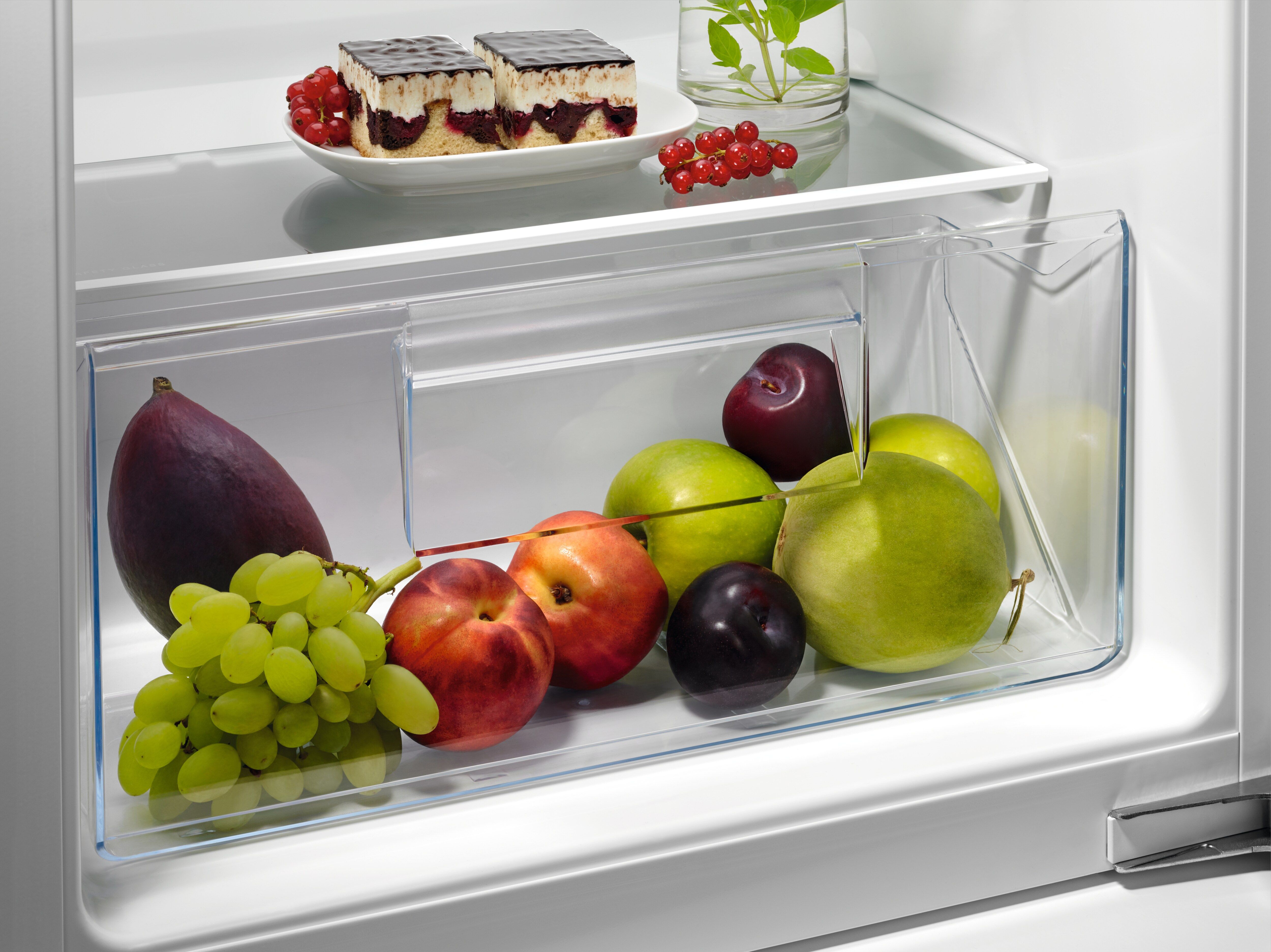 AEG koelkast OSK5O88EF afbeelding 3