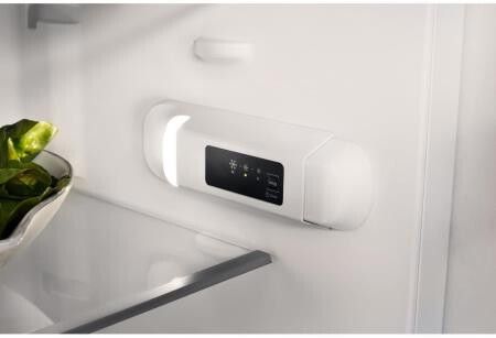 Bauknecht koelkast KSI12VF2 afbeelding 3