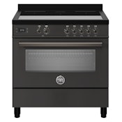 Bertazzoni PRO95I1ECAT