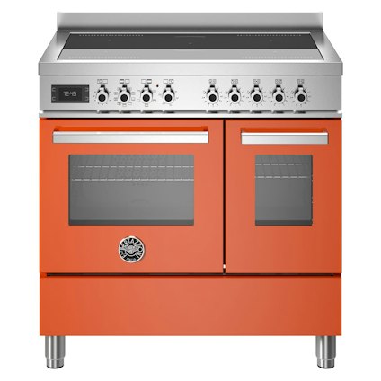 Bertazzoni PRO95I2EART
