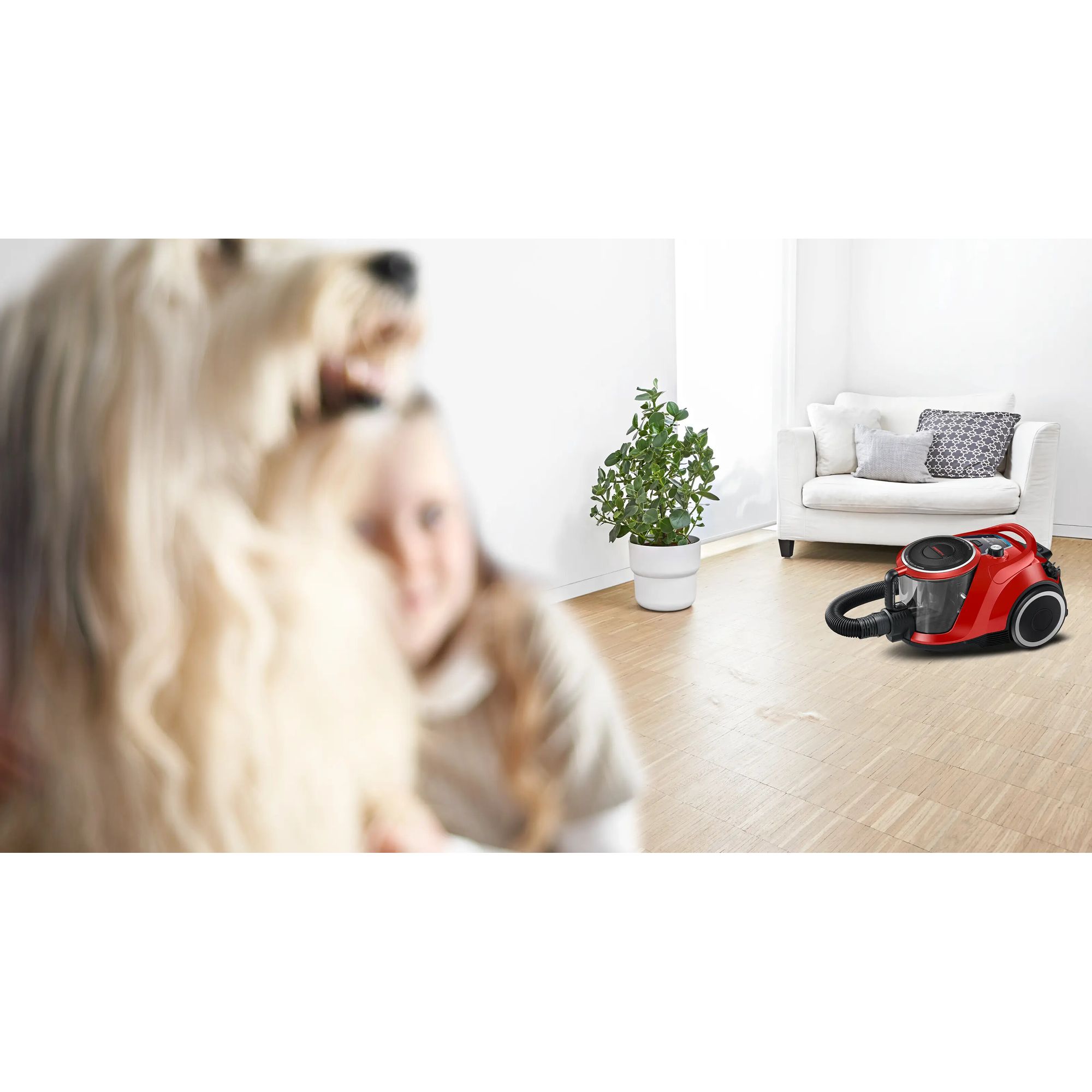 BGC41PET van Bosch afbeelding 6