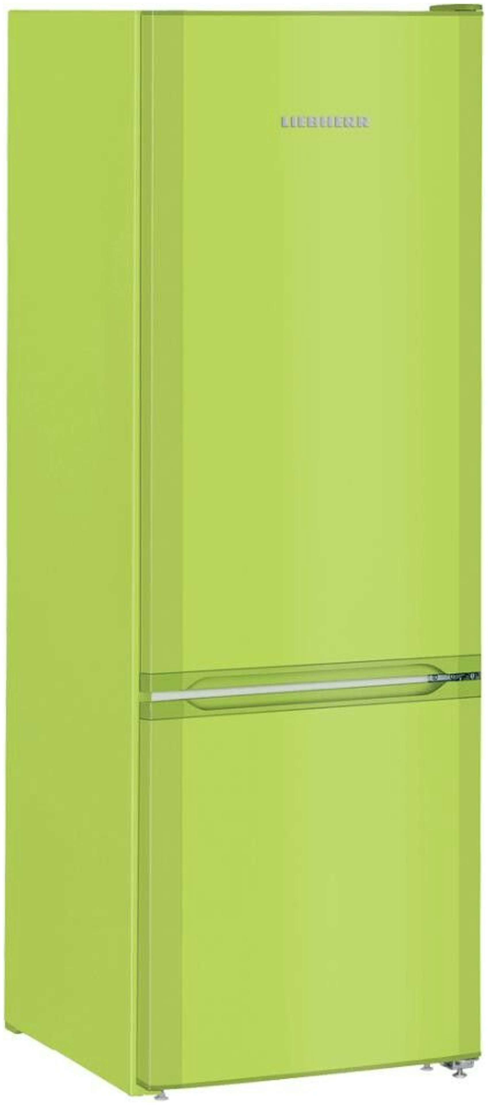 Duizeligheid rechtbank kralen Groene koelkast kopen? - Alle koelkasten in de kleur groen!