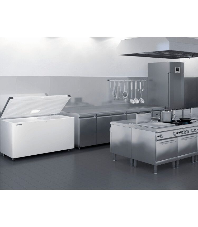 Liebherr vriezer vrijstaand EFL 4655-20 afbeelding 4