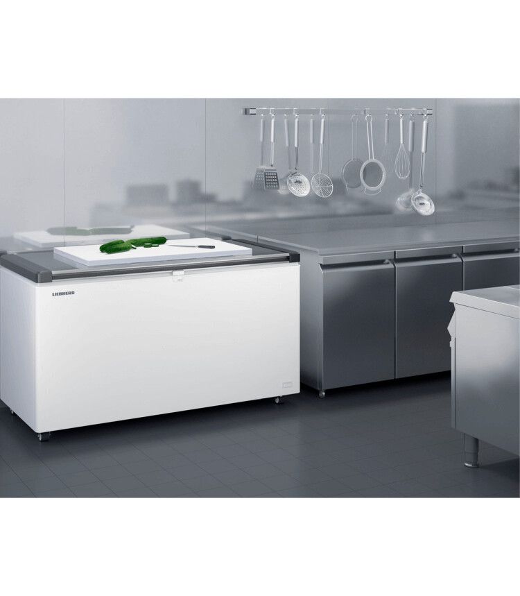 EFL 6056-20 Liebherr afbeelding 2