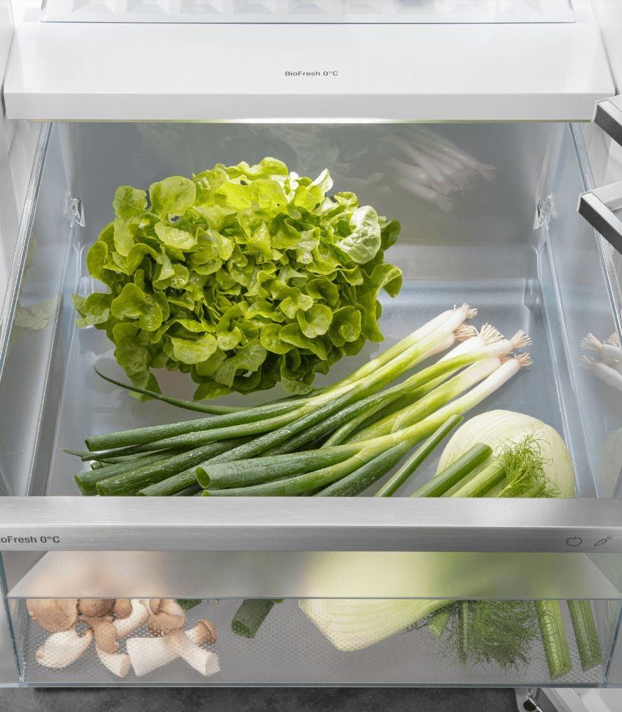 Liebherr koelkast vrijstaand RBBSB 525I-23 afbeelding 4