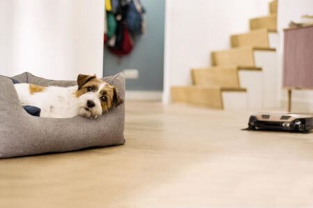 Miele stofzuiger SCOUT RX3 RUNNER afbeelding 3