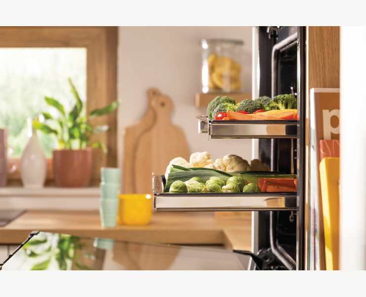 HS3004 Pelgrim afbeelding 2