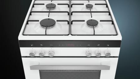 HX9R3AD20N Siemens afbeelding 2