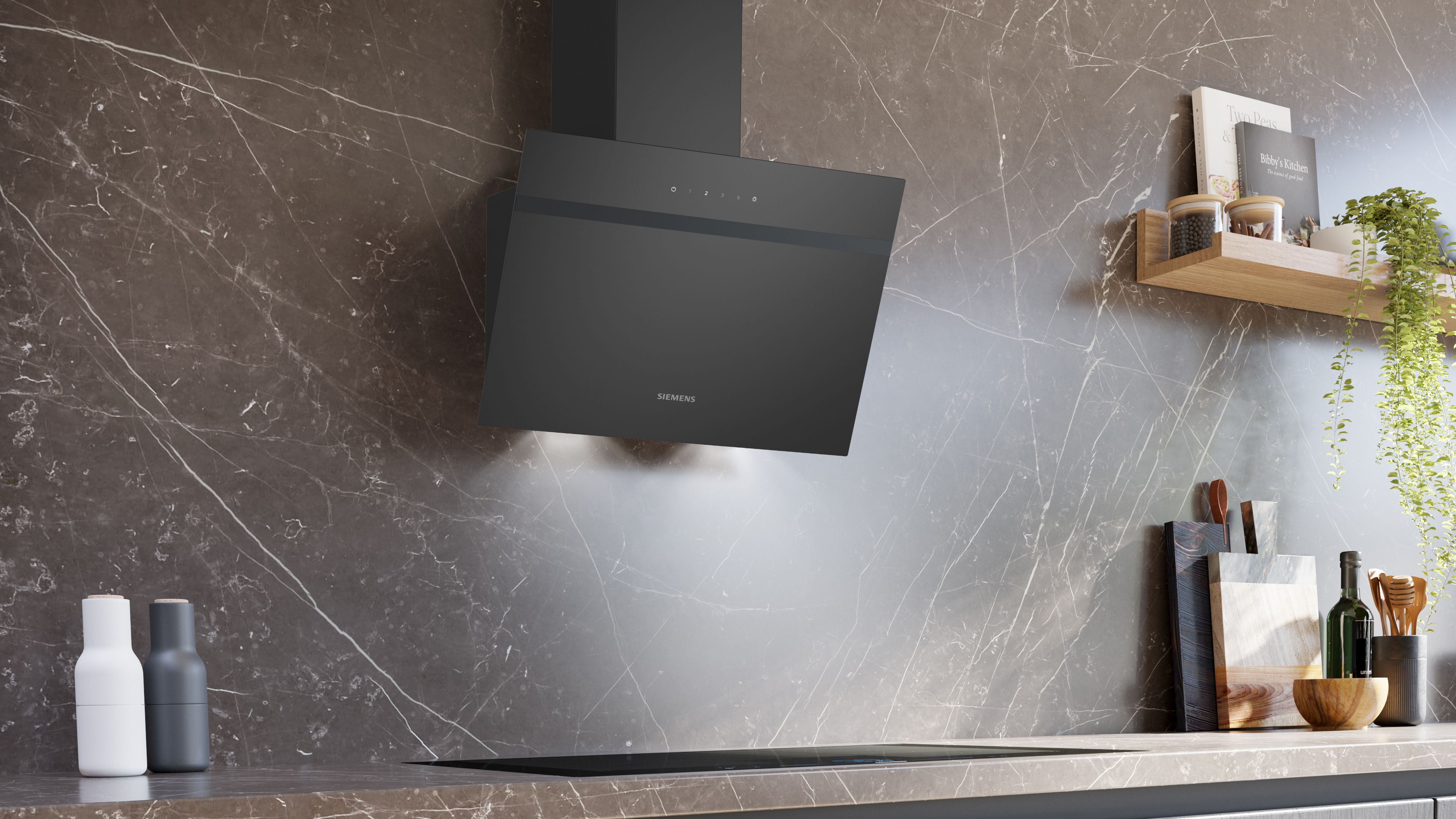 LC65KDK60 Siemens afbeelding 2