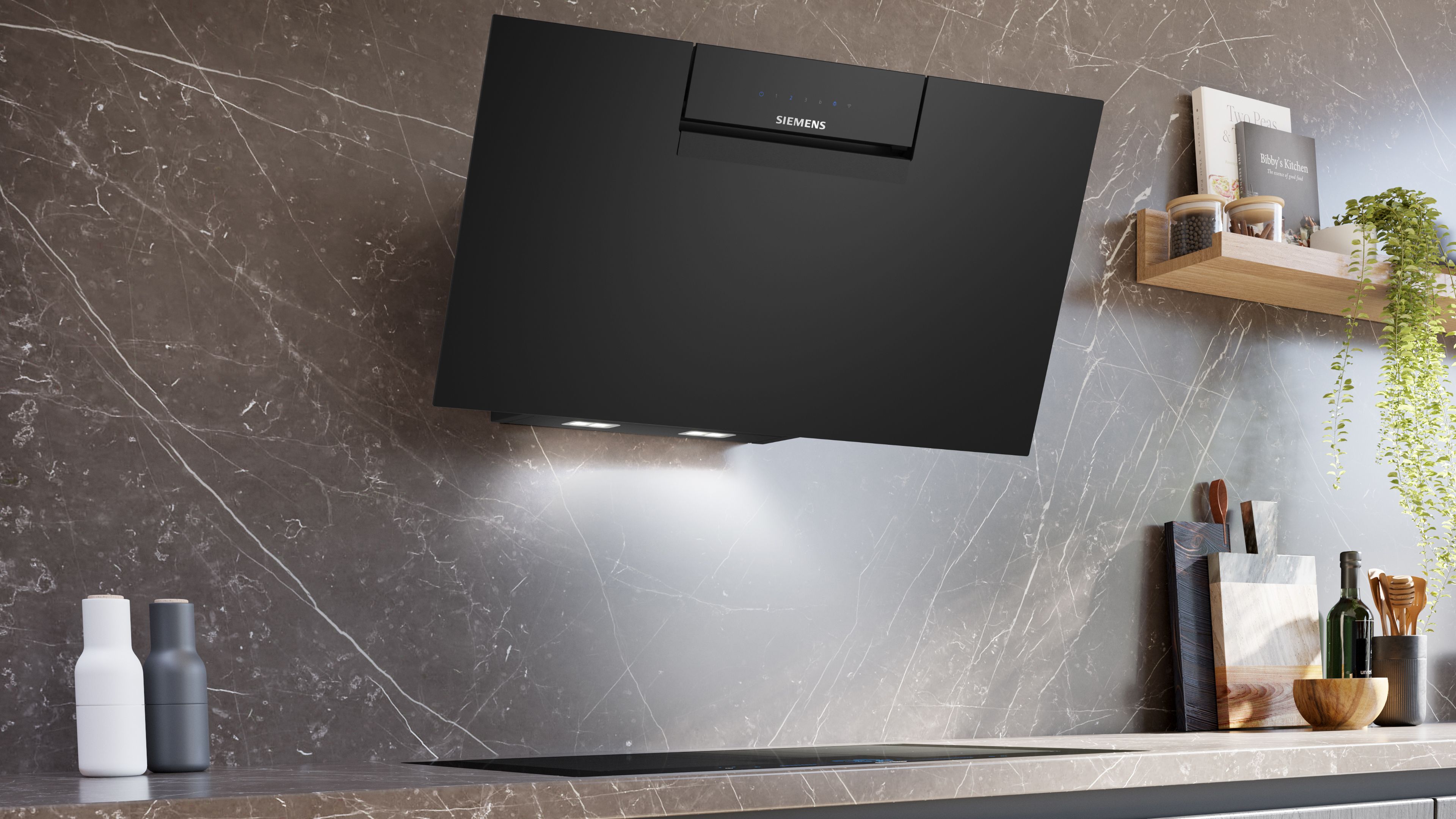 LC87JFN60 Siemens afbeelding 2