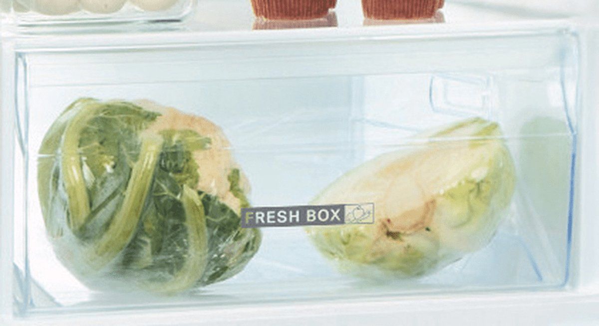 Whirlpool koelkast ART66102 afbeelding 3