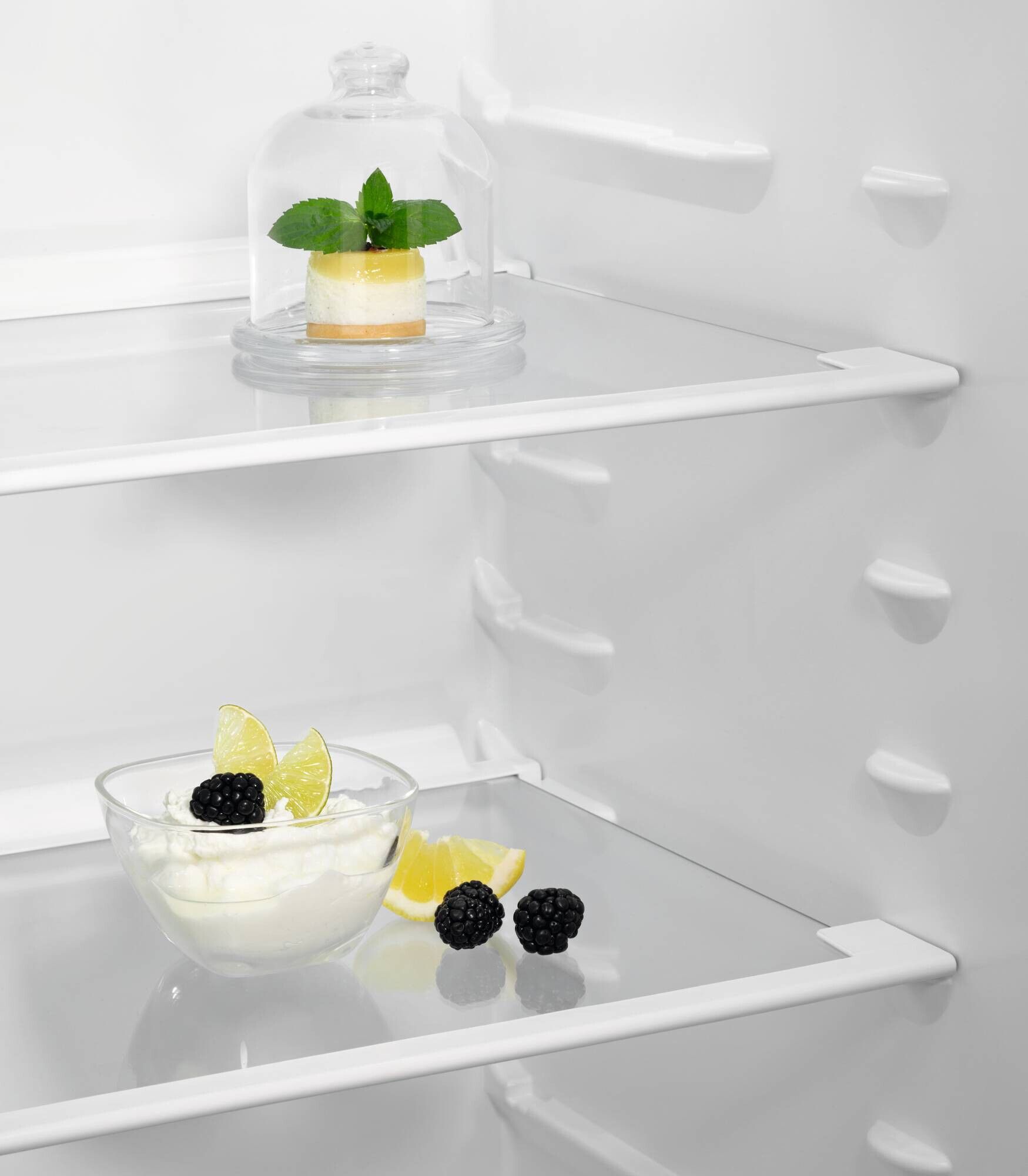 Zanussi koelkast ZRAN10FS2 afbeelding 3